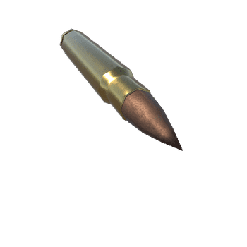 9,3 x 64 mm Round_1